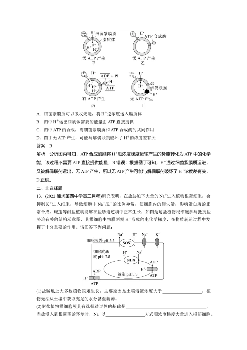 2023年高考生物一轮复习（新人教新高考）第2单元第6课时　物质出入细胞的方式及影响因素_新高考复习资料_2023年新高考复习资料_一轮复习_2023年新高考大一轮复习讲义