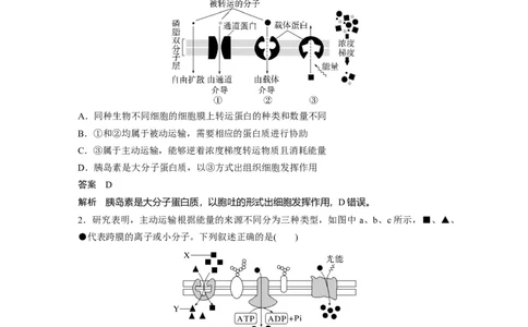 2023年高考生物一轮复习（新人教新高考）第2单元第6课时　物质出入细胞的方式及影响因素_新高考复习资料_2023年新高考复习资料_一轮复习_2023年新高考大一轮复习讲义