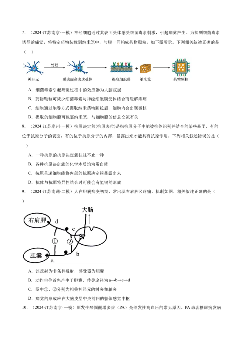 押江苏卷选择题稳态与调节（原卷版）_2024年新高考资料_5.2024三轮冲刺_备战2024年高考生物临考题号押题（江苏专用）322855714