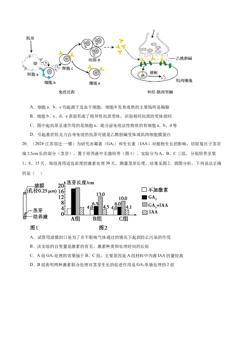 押江苏卷选择题稳态与调节（原卷版）_2024年新高考资料_5.2024三轮冲刺_备战2024年高考生物临考题号押题（江苏专用）322855714
