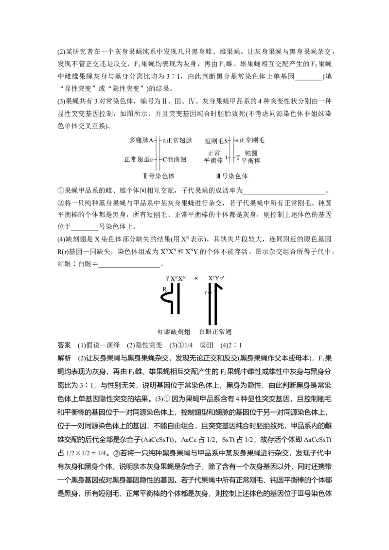 2023年高考生物一轮复习（全国版）第5单元第5课时　基因在染色体上的假说与证据_通用版（老高考）复习资料_2023年复习资料_一轮复习_2023年高考生物一轮复习讲义+课件（全国版）