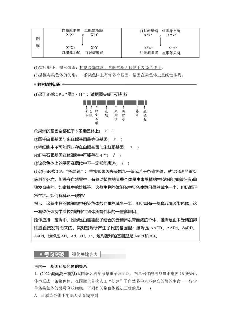 2023年高考生物一轮复习（全国版）第5单元第5课时　基因在染色体上的假说与证据_通用版（老高考）复习资料_2023年复习资料_一轮复习_2023年高考生物一轮复习讲义+课件（全国版）
