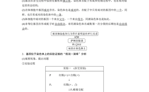 2023年高考生物一轮复习（全国版）第5单元第5课时　基因在染色体上的假说与证据_通用版（老高考）复习资料_2023年复习资料_一轮复习_2023年高考生物一轮复习讲义+课件（全国版）