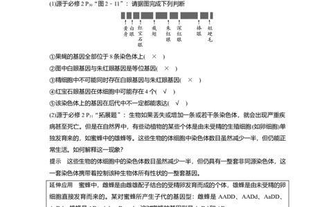 2023年高考生物一轮复习（全国版）第5单元第5课时　基因在染色体上的假说与证据_通用版（老高考）复习资料_2023年复习资料_一轮复习_2023年高考生物一轮复习讲义+课件（全国版）