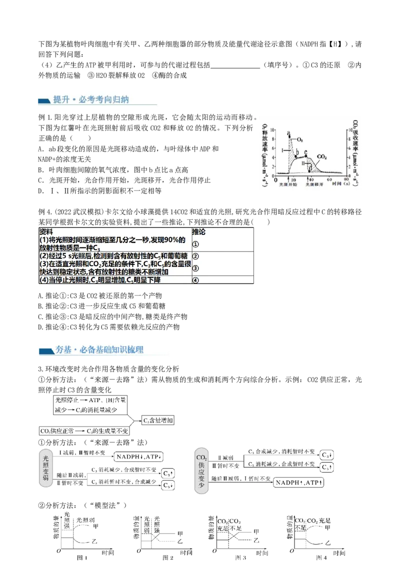 第10.1讲光合色素和光合作用原理（讲义）（学生版）_2024年新高考资料_1.2024一轮复习_2024年高考生物一轮复习讲练测（新教材新高考）