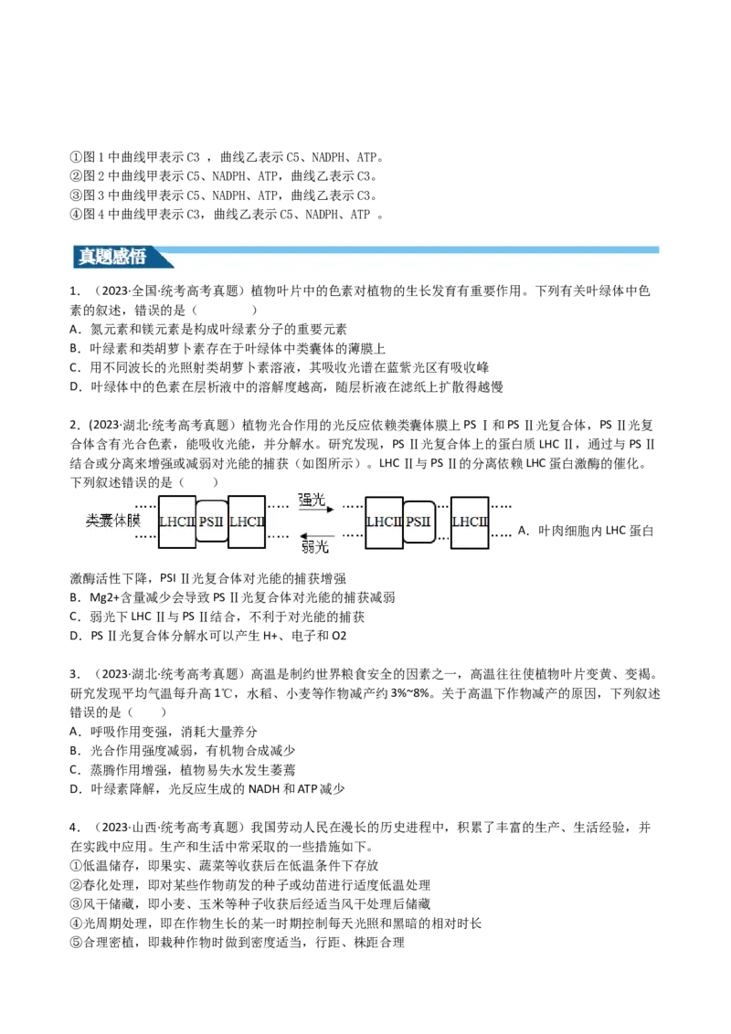 第10.1讲光合色素和光合作用原理（讲义）（学生版）_2024年新高考资料_1.2024一轮复习_2024年高考生物一轮复习讲练测（新教材新高考）