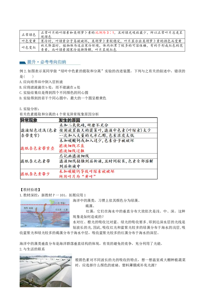 第10.1讲光合色素和光合作用原理（讲义）（学生版）_2024年新高考资料_1.2024一轮复习_2024年高考生物一轮复习讲练测（新教材新高考）