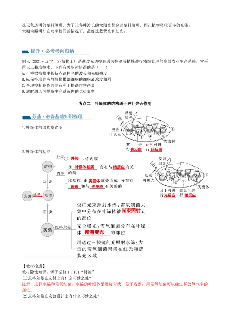 第10.1讲光合色素和光合作用原理（讲义）（学生版）_2024年新高考资料_1.2024一轮复习_2024年高考生物一轮复习讲练测（新教材新高考）