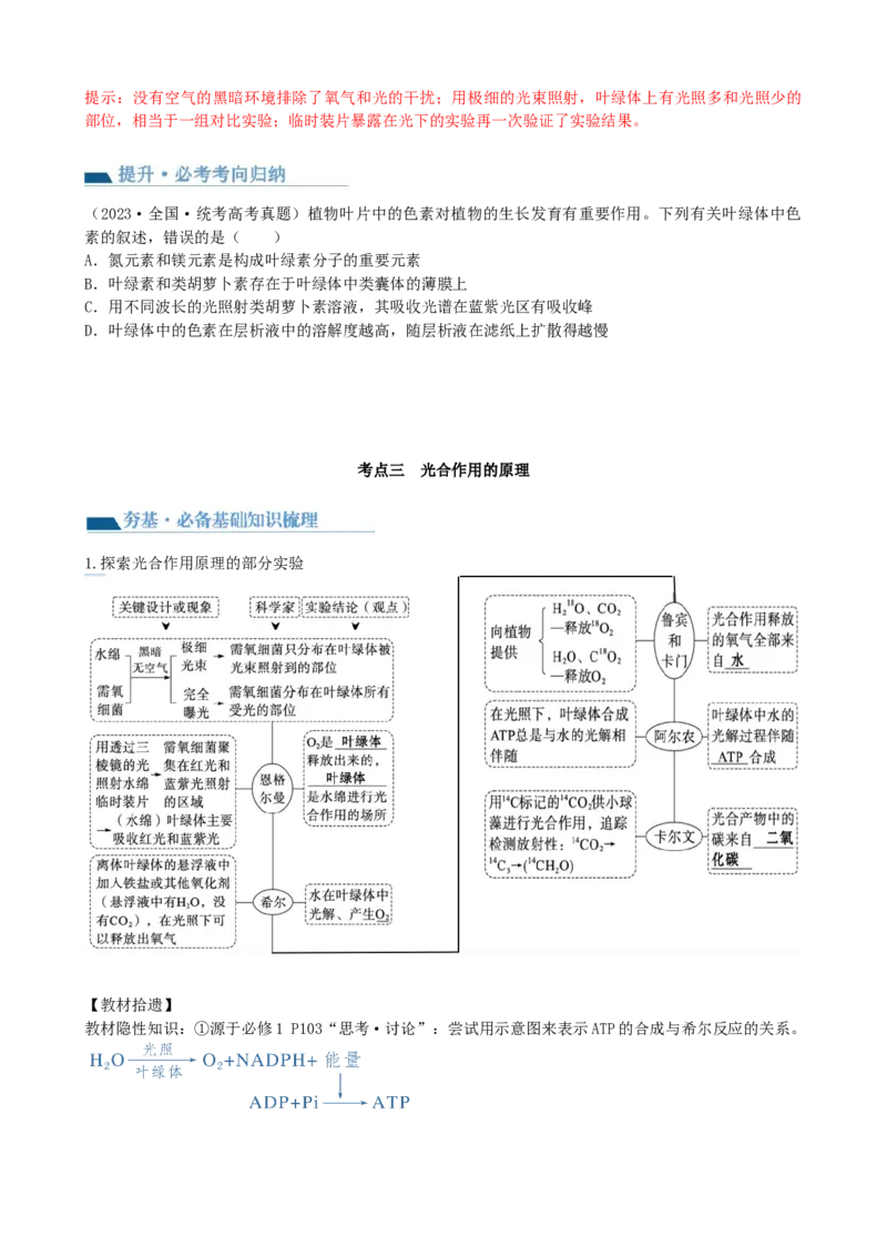 第10.1讲光合色素和光合作用原理（讲义）（学生版）_2024年新高考资料_1.2024一轮复习_2024年高考生物一轮复习讲练测（新教材新高考）
