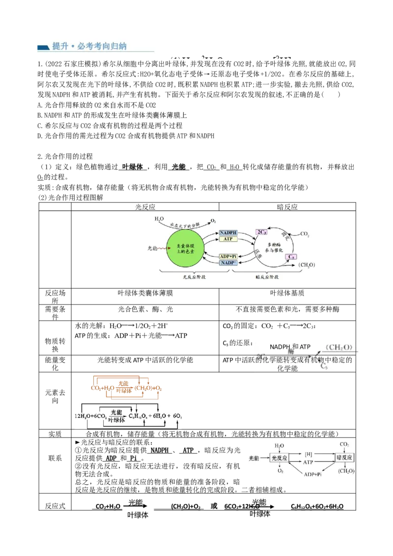 第10.1讲光合色素和光合作用原理（讲义）（学生版）_2024年新高考资料_1.2024一轮复习_2024年高考生物一轮复习讲练测（新教材新高考）