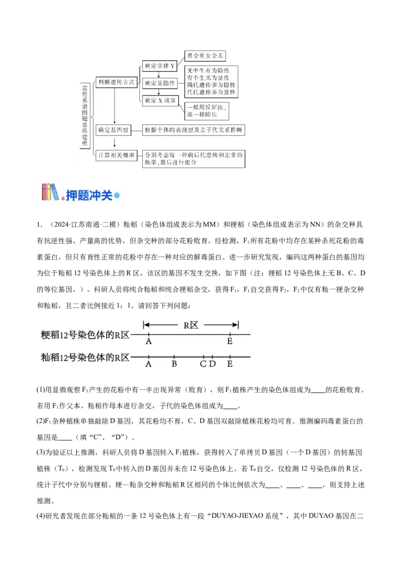 押江苏卷第22题遗传规律的应用（原卷版）_2024年新高考资料_5.2024三轮冲刺_备战2024年高考生物临考题号押题（江苏专用）322855714