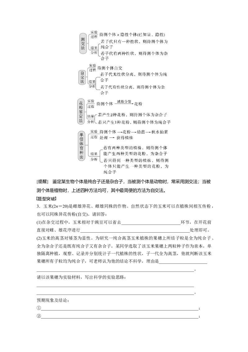 2023年高考生物一轮复习（全国版）第5单元第2课时　基因分离定律重点题型突破_通用版（老高考）复习资料_2023年复习资料_一轮复习_2023年高考生物一轮复习讲义+课件（全国版）