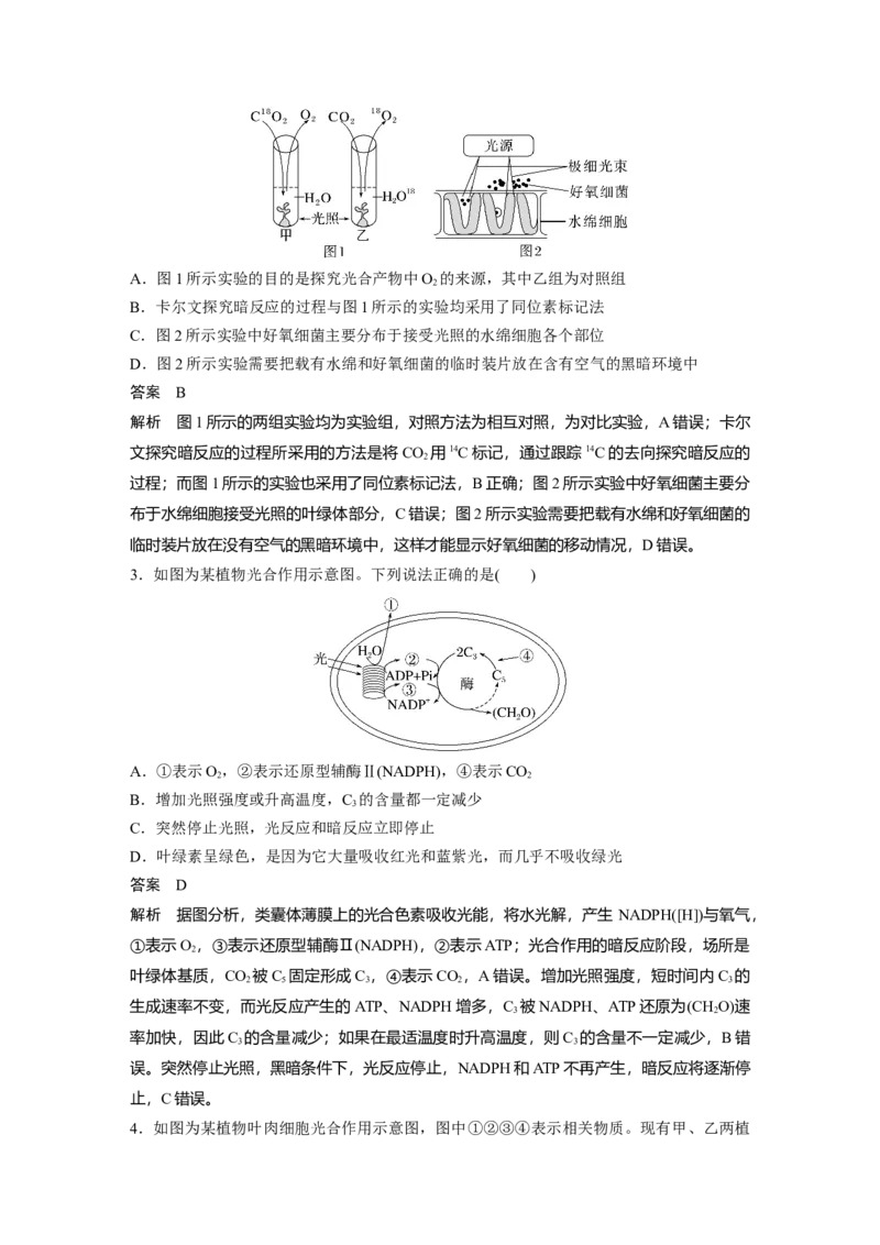 2023年高考生物一轮复习（全国版）第3单元第6课时　光合作用的原理_通用版（老高考）复习资料_2023年复习资料_一轮复习_2023年高考生物一轮复习讲义+课件（全国版）