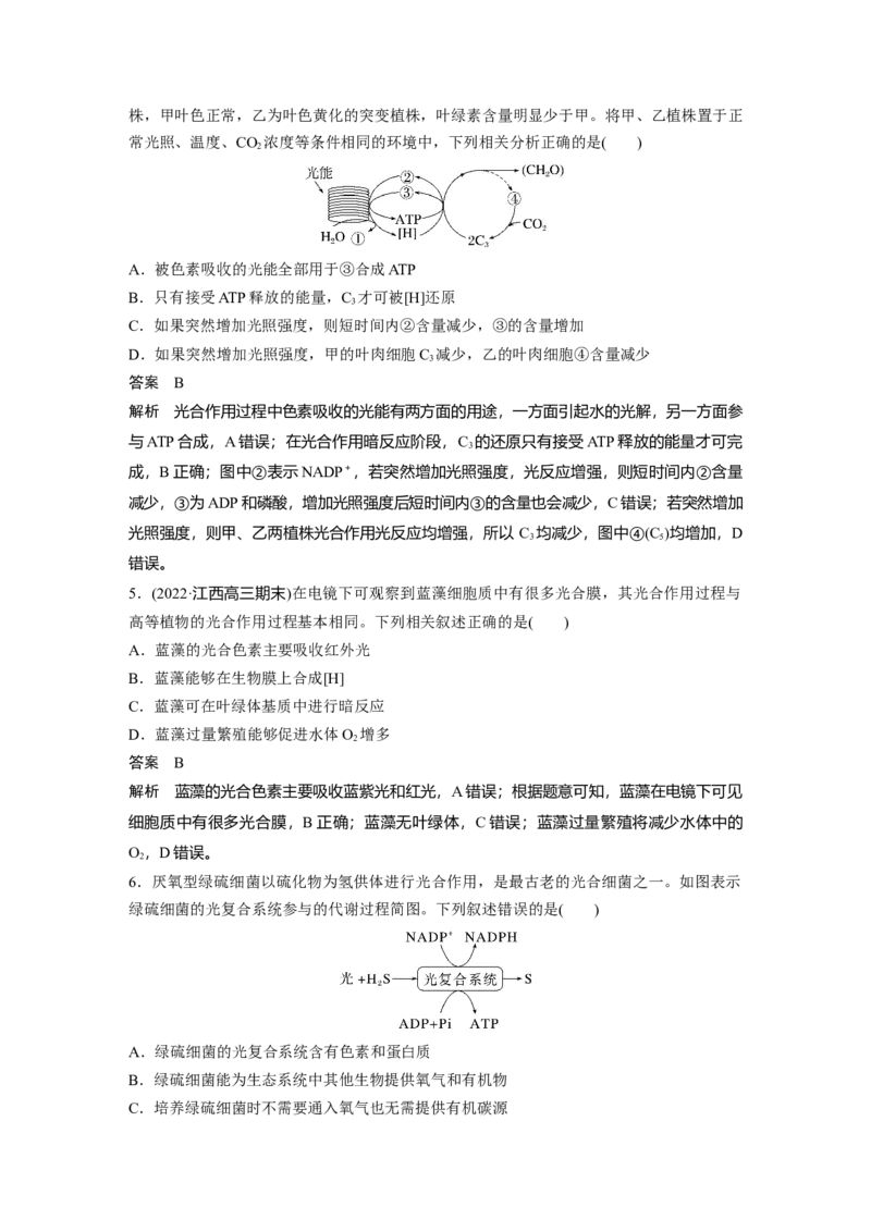 2023年高考生物一轮复习（全国版）第3单元第6课时　光合作用的原理_通用版（老高考）复习资料_2023年复习资料_一轮复习_2023年高考生物一轮复习讲义+课件（全国版）