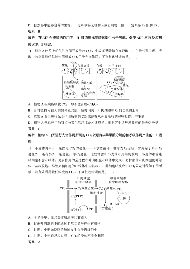 2023年高考生物一轮复习（全国版）第3单元第6课时　光合作用的原理_通用版（老高考）复习资料_2023年复习资料_一轮复习_2023年高考生物一轮复习讲义+课件（全国版）