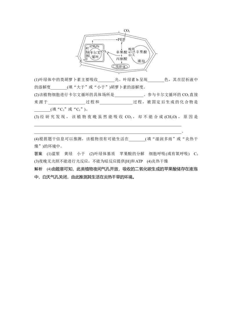 2023年高考生物一轮复习（全国版）第3单元第6课时　光合作用的原理_通用版（老高考）复习资料_2023年复习资料_一轮复习_2023年高考生物一轮复习讲义+课件（全国版）