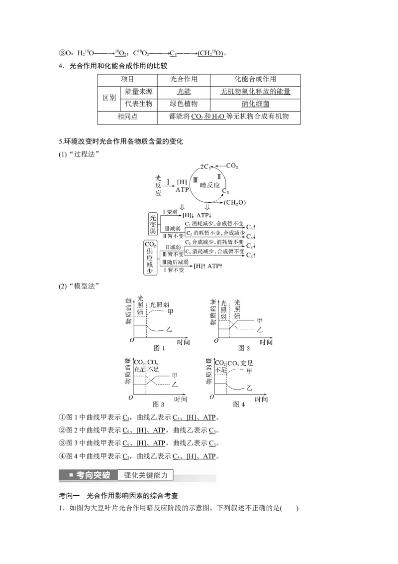 2023年高考生物一轮复习（全国版）第3单元第6课时　光合作用的原理_通用版（老高考）复习资料_2023年复习资料_一轮复习_2023年高考生物一轮复习讲义+课件（全国版）