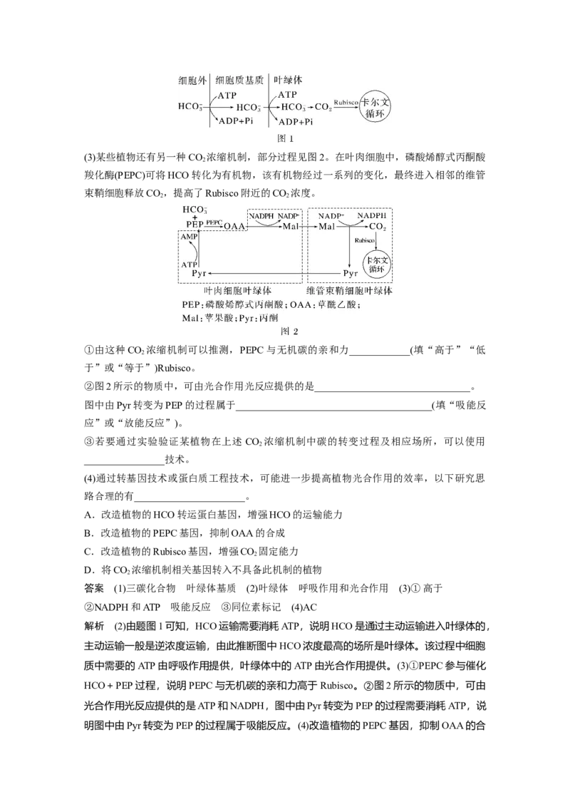 2023年高考生物一轮复习（全国版）第3单元第6课时　光合作用的原理_通用版（老高考）复习资料_2023年复习资料_一轮复习_2023年高考生物一轮复习讲义+课件（全国版）