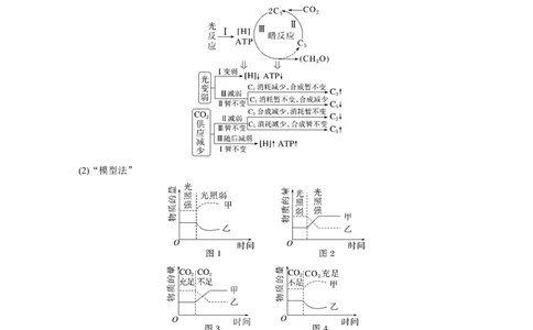 2023年高考生物一轮复习（全国版）第3单元第6课时　光合作用的原理_通用版（老高考）复习资料_2023年复习资料_一轮复习_2023年高考生物一轮复习讲义+课件（全国版）
