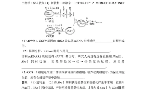 热点微练23基因工程的操作程序(尖子生特训)_2024年新高考资料_1.2024一轮复习_2024年高考生物一轮复习讲义（新人教版）_另附1套Word版题库_选择性必修3_第十单元生物技术与工程