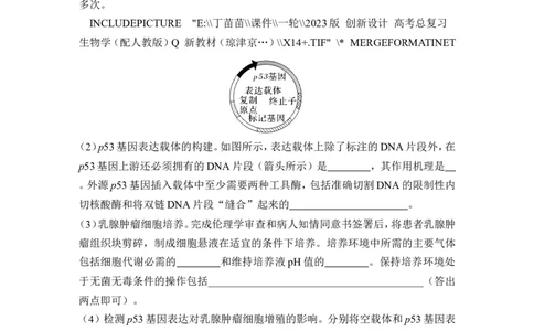 热点微练23基因工程的操作程序(尖子生特训)_2024年新高考资料_1.2024一轮复习_2024年高考生物一轮复习讲义（新人教版）_另附1套Word版题库_选择性必修3_第十单元生物技术与工程