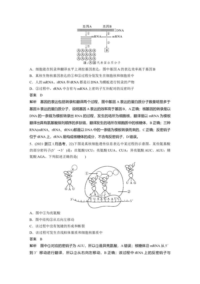 2023年高考生物一轮复习（全国版）第6单元第4课时　基因的表达_通用版（老高考）复习资料_2023年复习资料_一轮复习_2023年高考生物一轮复习讲义+课件（全国版）