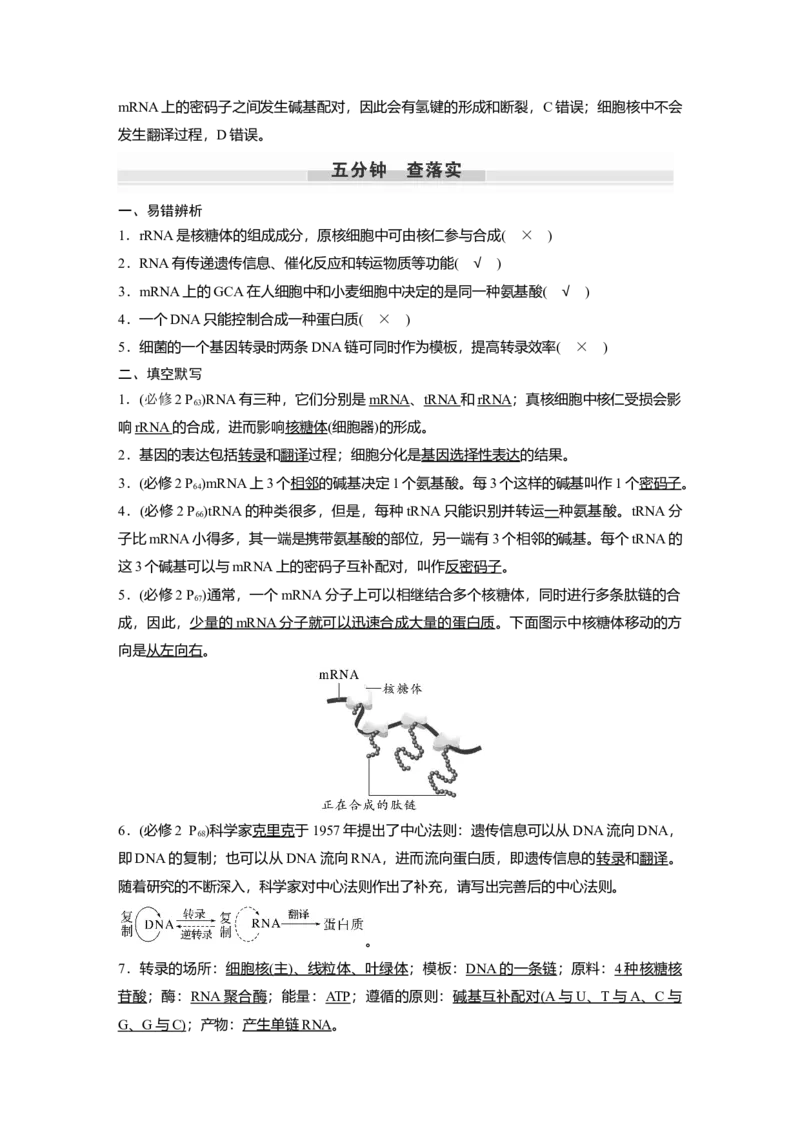 2023年高考生物一轮复习（全国版）第6单元第4课时　基因的表达_通用版（老高考）复习资料_2023年复习资料_一轮复习_2023年高考生物一轮复习讲义+课件（全国版）