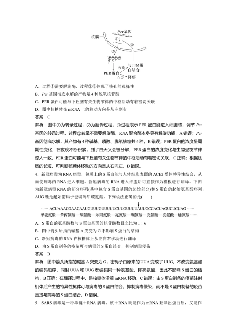 2023年高考生物一轮复习（全国版）第6单元第4课时　基因的表达_通用版（老高考）复习资料_2023年复习资料_一轮复习_2023年高考生物一轮复习讲义+课件（全国版）