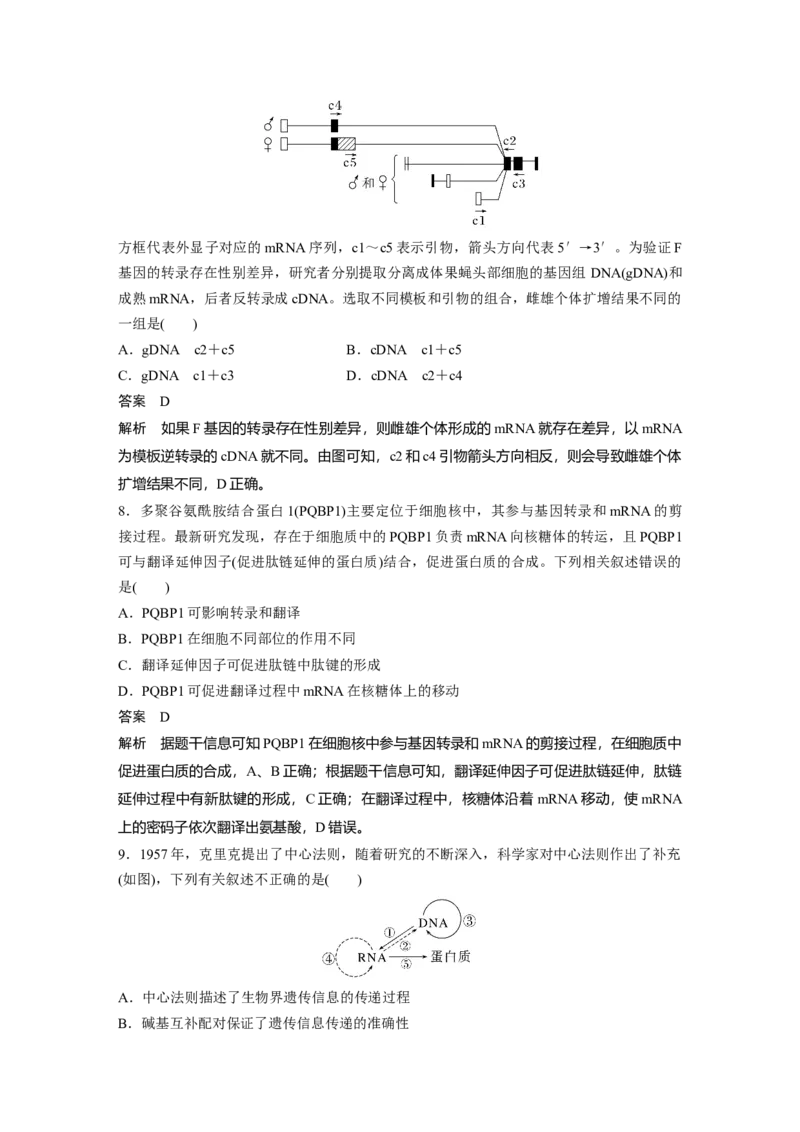 2023年高考生物一轮复习（全国版）第6单元第4课时　基因的表达_通用版（老高考）复习资料_2023年复习资料_一轮复习_2023年高考生物一轮复习讲义+课件（全国版）
