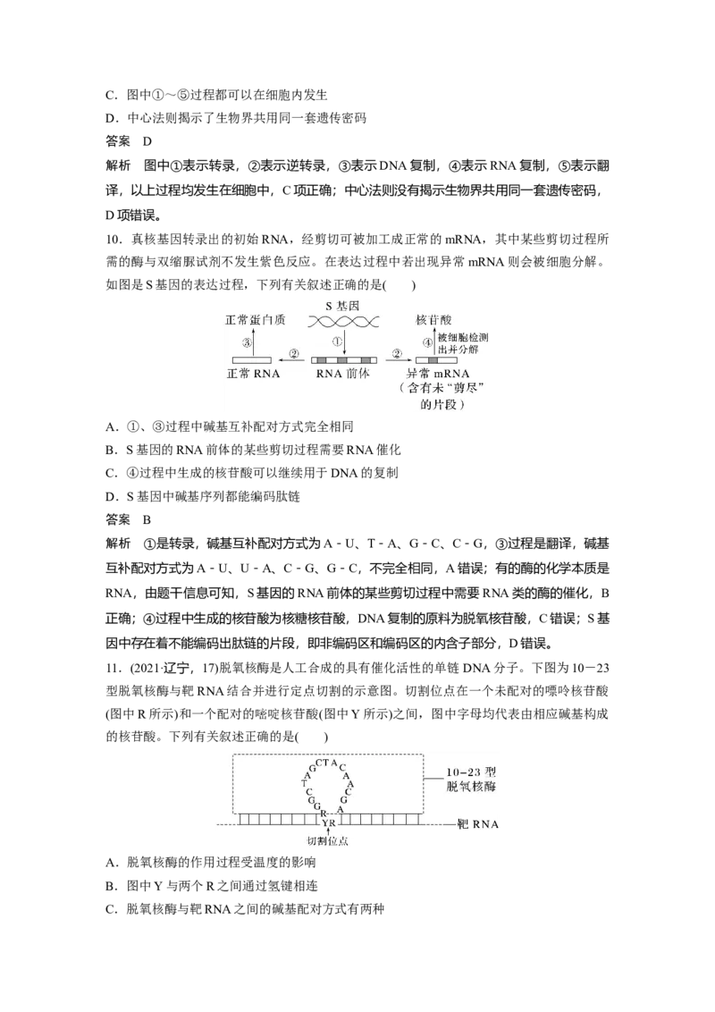 2023年高考生物一轮复习（全国版）第6单元第4课时　基因的表达_通用版（老高考）复习资料_2023年复习资料_一轮复习_2023年高考生物一轮复习讲义+课件（全国版）