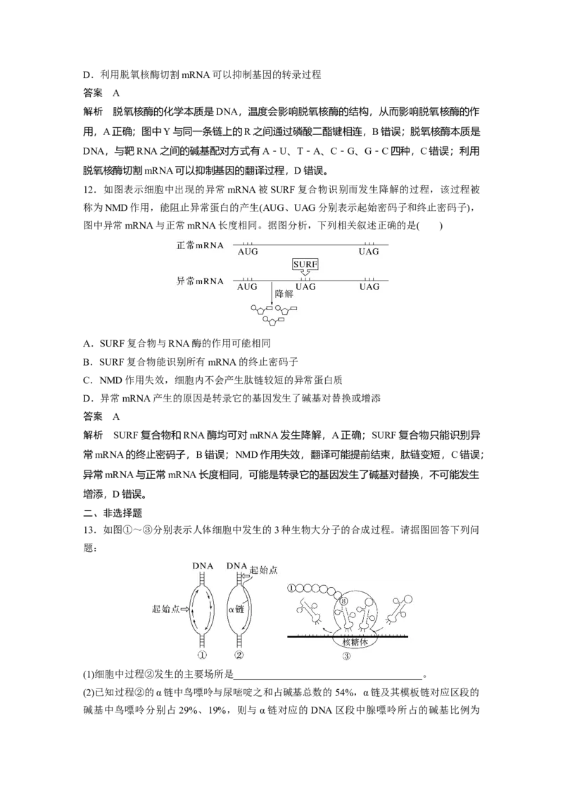 2023年高考生物一轮复习（全国版）第6单元第4课时　基因的表达_通用版（老高考）复习资料_2023年复习资料_一轮复习_2023年高考生物一轮复习讲义+课件（全国版）