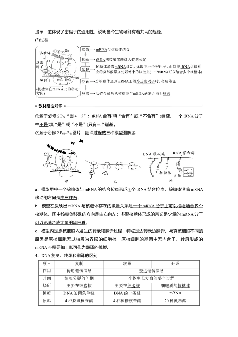 2023年高考生物一轮复习（全国版）第6单元第4课时　基因的表达_通用版（老高考）复习资料_2023年复习资料_一轮复习_2023年高考生物一轮复习讲义+课件（全国版）