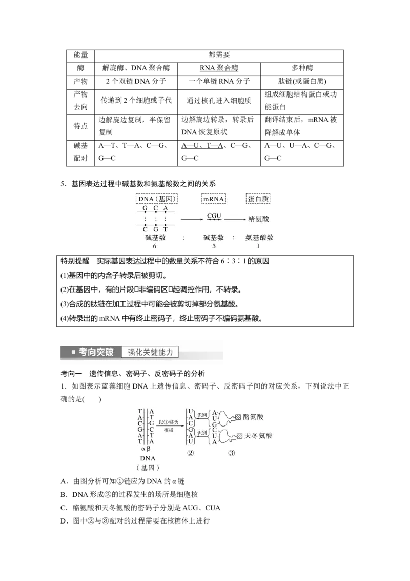 2023年高考生物一轮复习（全国版）第6单元第4课时　基因的表达_通用版（老高考）复习资料_2023年复习资料_一轮复习_2023年高考生物一轮复习讲义+课件（全国版）