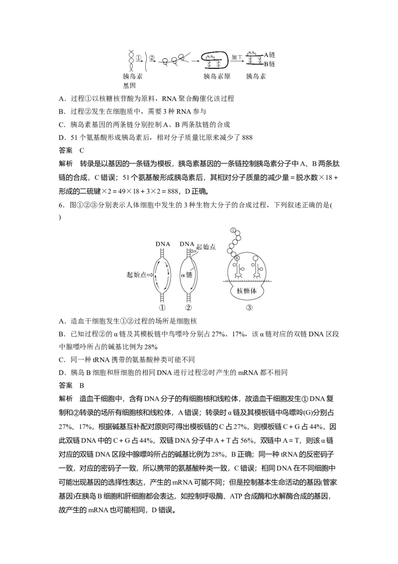 2023年高考生物一轮复习（全国版）第6单元第4课时　基因的表达_通用版（老高考）复习资料_2023年复习资料_一轮复习_2023年高考生物一轮复习讲义+课件（全国版）