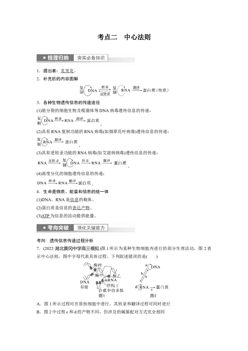 2023年高考生物一轮复习（全国版）第6单元第4课时　基因的表达_通用版（老高考）复习资料_2023年复习资料_一轮复习_2023年高考生物一轮复习讲义+课件（全国版）