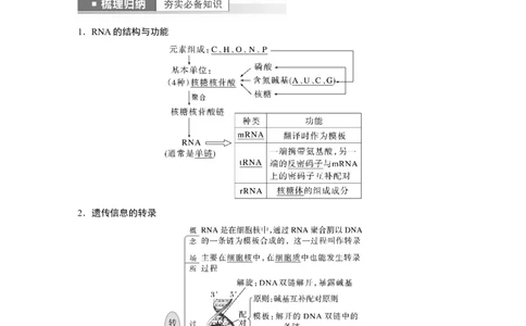 2023年高考生物一轮复习（全国版）第6单元第4课时　基因的表达_通用版（老高考）复习资料_2023年复习资料_一轮复习_2023年高考生物一轮复习讲义+课件（全国版）