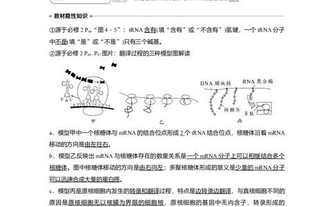 2023年高考生物一轮复习（全国版）第6单元第4课时　基因的表达_通用版（老高考）复习资料_2023年复习资料_一轮复习_2023年高考生物一轮复习讲义+课件（全国版）