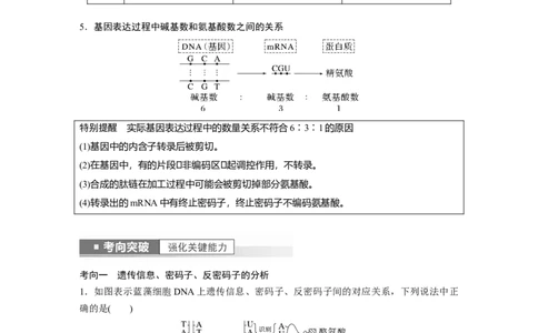 2023年高考生物一轮复习（全国版）第6单元第4课时　基因的表达_通用版（老高考）复习资料_2023年复习资料_一轮复习_2023年高考生物一轮复习讲义+课件（全国版）