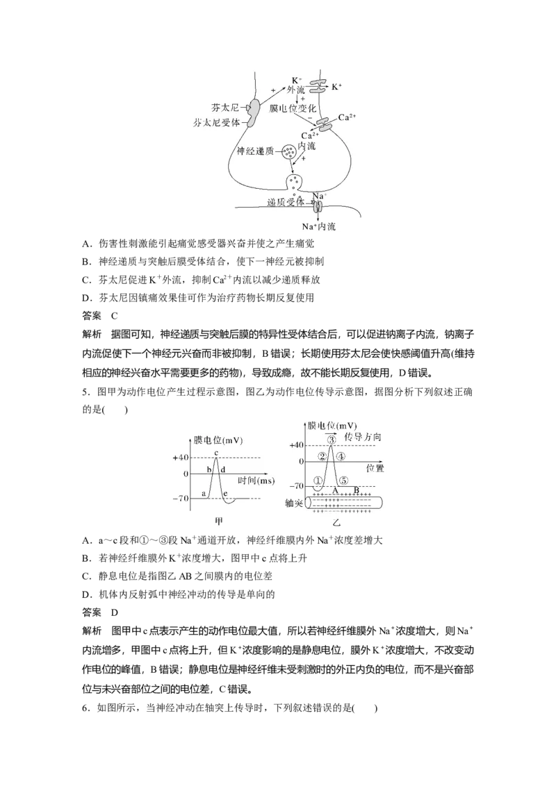 2023年高考生物一轮复习（全国版）第8单元第3课时　兴奋的产生、传导与传递_通用版（老高考）复习资料_2023年复习资料_一轮复习_2023年高考生物一轮复习讲义+课件（全国版）