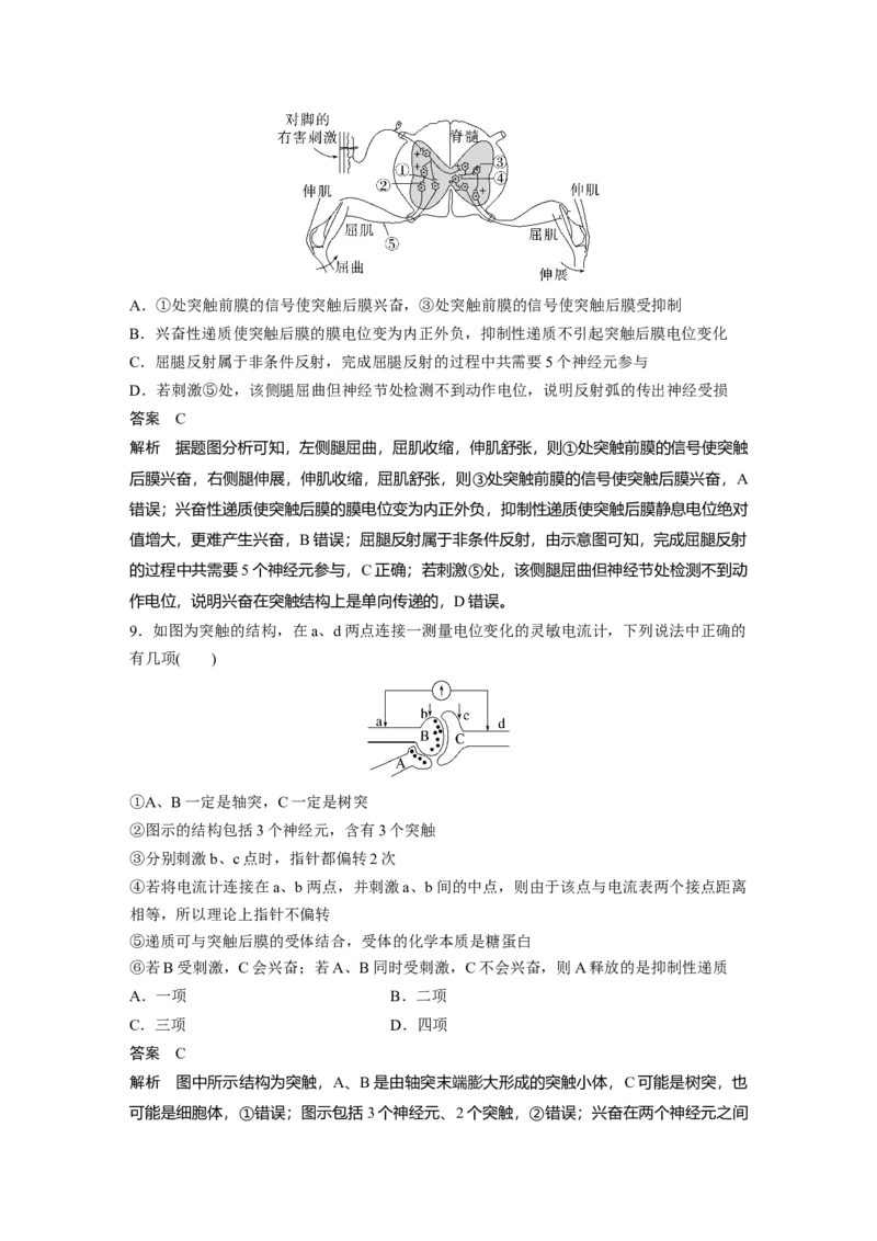 2023年高考生物一轮复习（全国版）第8单元第3课时　兴奋的产生、传导与传递_通用版（老高考）复习资料_2023年复习资料_一轮复习_2023年高考生物一轮复习讲义+课件（全国版）