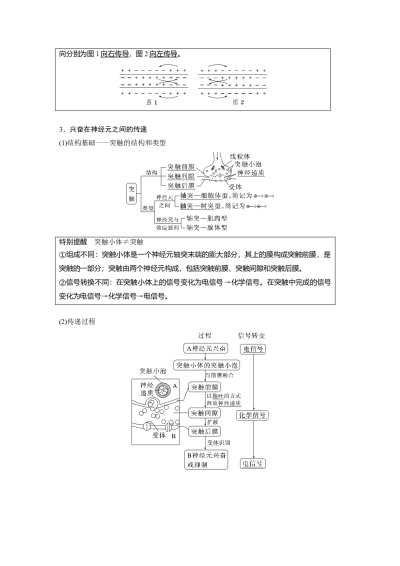 2023年高考生物一轮复习（全国版）第8单元第3课时　兴奋的产生、传导与传递_通用版（老高考）复习资料_2023年复习资料_一轮复习_2023年高考生物一轮复习讲义+课件（全国版）