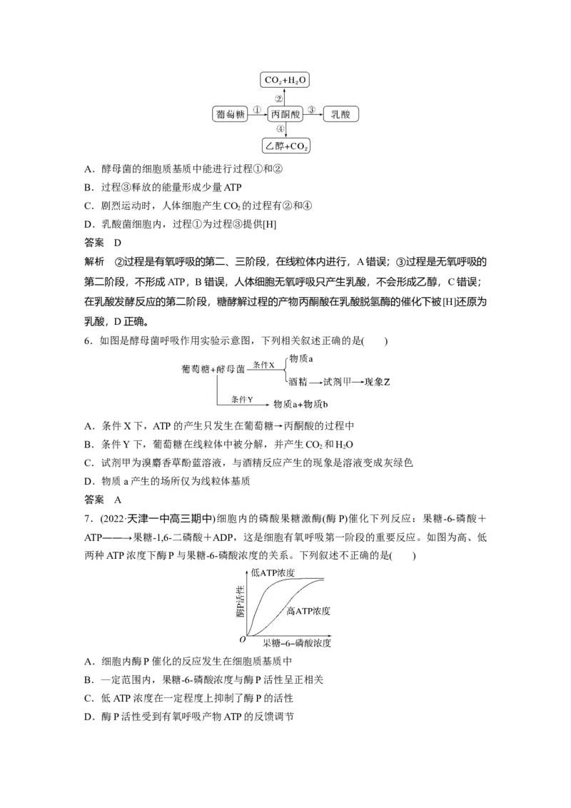 2023年高考生物一轮复习（全国版）第3单元第3课时　细胞呼吸的方式和过程_通用版（老高考）复习资料_2023年复习资料_一轮复习_2023年高考生物一轮复习讲义+课件（全国版）