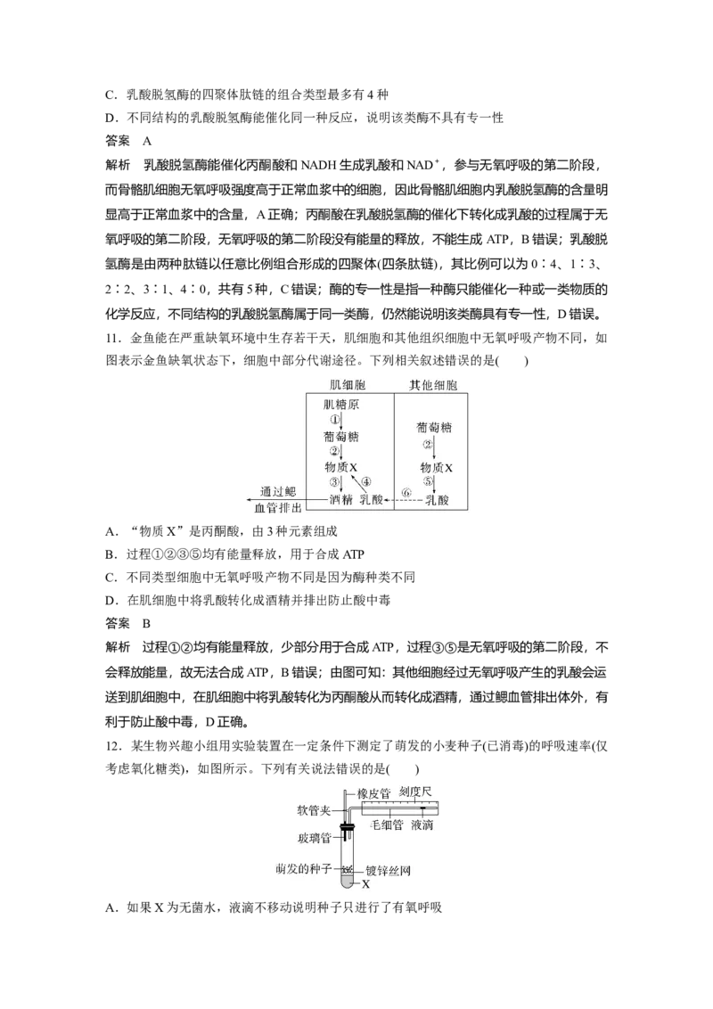 2023年高考生物一轮复习（全国版）第3单元第3课时　细胞呼吸的方式和过程_通用版（老高考）复习资料_2023年复习资料_一轮复习_2023年高考生物一轮复习讲义+课件（全国版）
