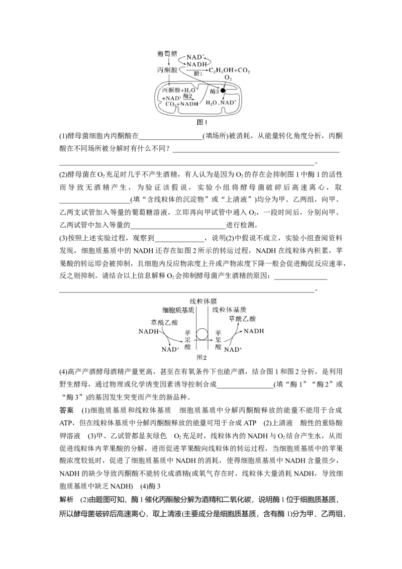2023年高考生物一轮复习（全国版）第3单元第3课时　细胞呼吸的方式和过程_通用版（老高考）复习资料_2023年复习资料_一轮复习_2023年高考生物一轮复习讲义+课件（全国版）