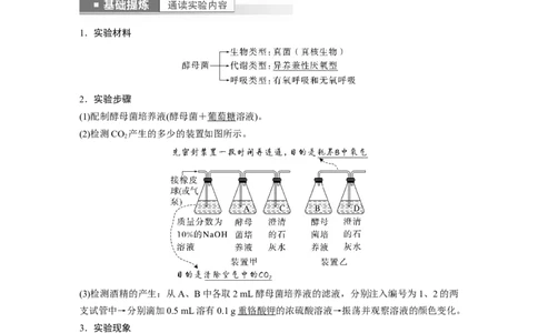 2023年高考生物一轮复习（全国版）第3单元第3课时　细胞呼吸的方式和过程_通用版（老高考）复习资料_2023年复习资料_一轮复习_2023年高考生物一轮复习讲义+课件（全国版）