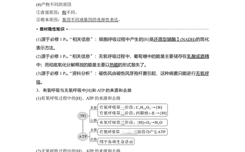 2023年高考生物一轮复习（全国版）第3单元第3课时　细胞呼吸的方式和过程_通用版（老高考）复习资料_2023年复习资料_一轮复习_2023年高考生物一轮复习讲义+课件（全国版）