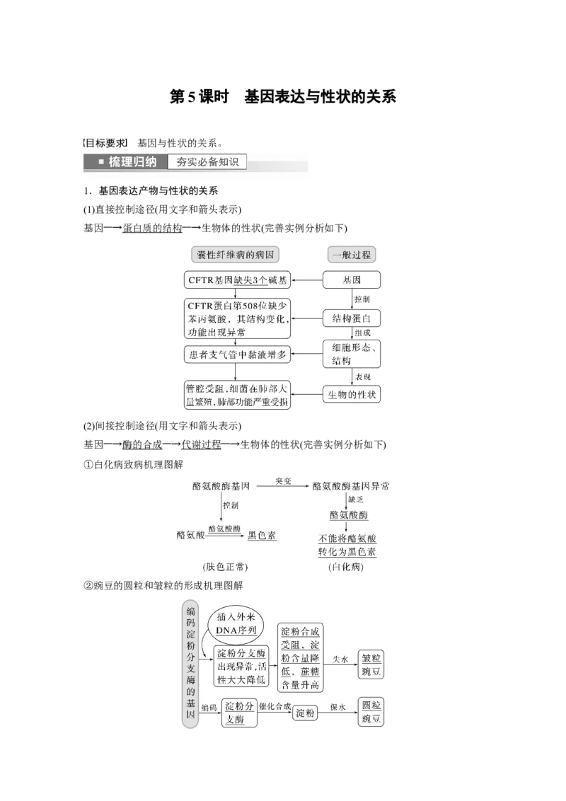 2023年高考生物一轮复习（全国版）第6单元第5课时　基因表达与性状的关系_通用版（老高考）复习资料_2023年复习资料_一轮复习_2023年高考生物一轮复习讲义+课件（全国版）