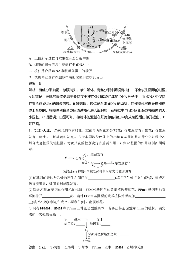 2023年高考生物一轮复习（全国版）第6单元第5课时　基因表达与性状的关系_通用版（老高考）复习资料_2023年复习资料_一轮复习_2023年高考生物一轮复习讲义+课件（全国版）