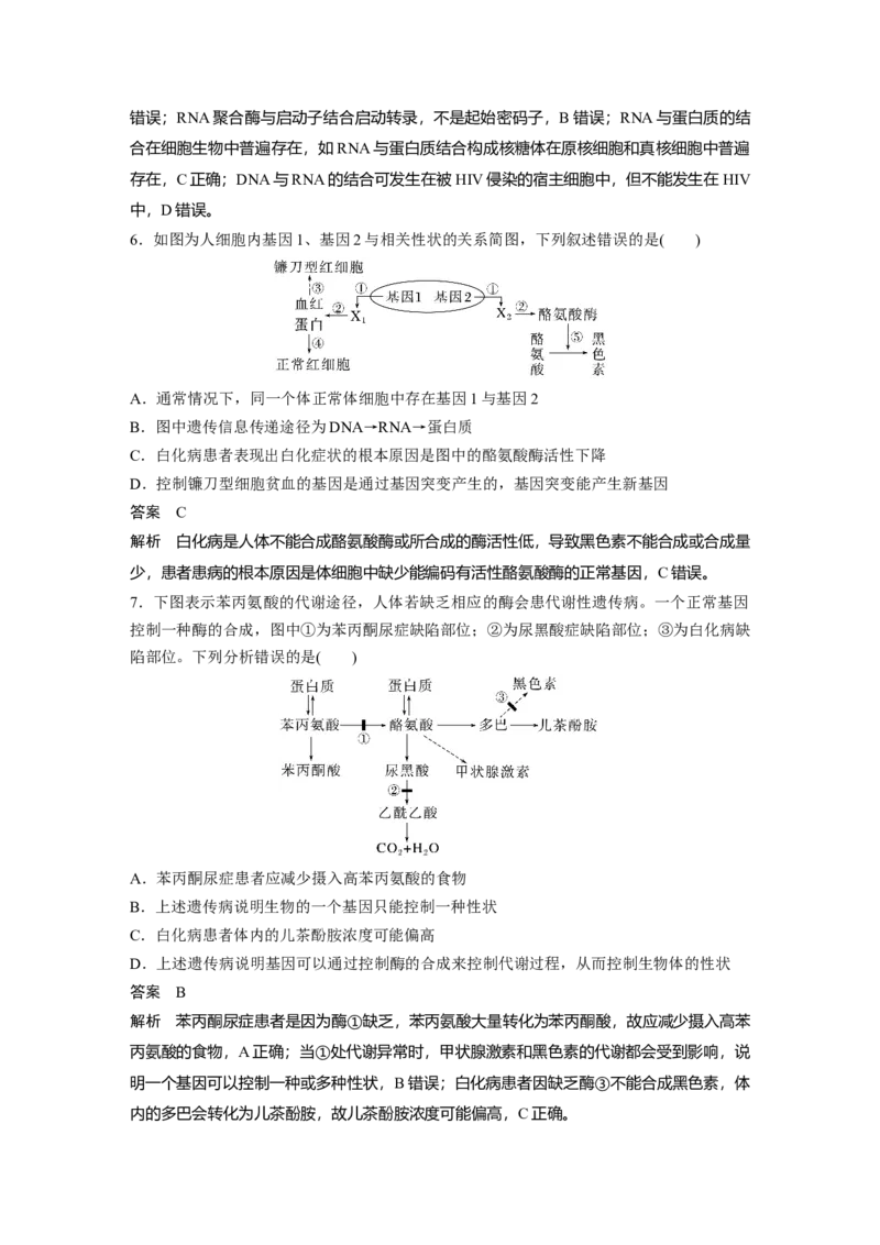 2023年高考生物一轮复习（全国版）第6单元第5课时　基因表达与性状的关系_通用版（老高考）复习资料_2023年复习资料_一轮复习_2023年高考生物一轮复习讲义+课件（全国版）