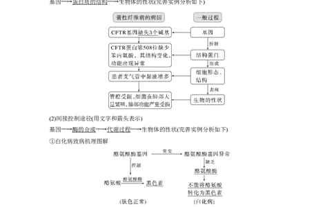 2023年高考生物一轮复习（全国版）第6单元第5课时　基因表达与性状的关系_通用版（老高考）复习资料_2023年复习资料_一轮复习_2023年高考生物一轮复习讲义+课件（全国版）